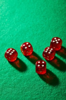 edmtogel live-dealer studio with professional HD camera setup and dealer